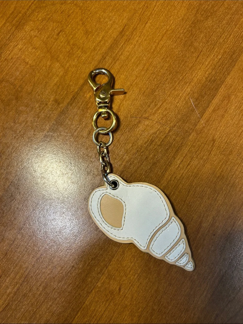 Parazul cute shell